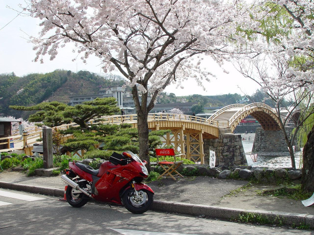 Honda CBR 1100XX Super Blackbird фото