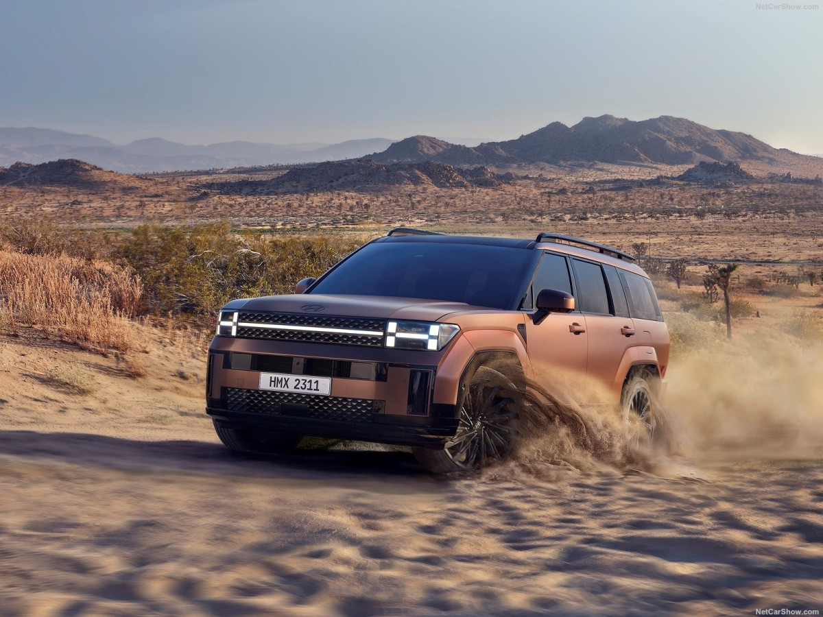 Hyundai Santa Fe  фото 211071