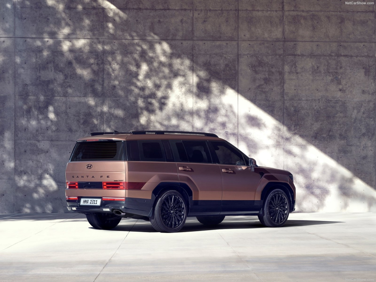 Hyundai Santa Fe  фото 211073