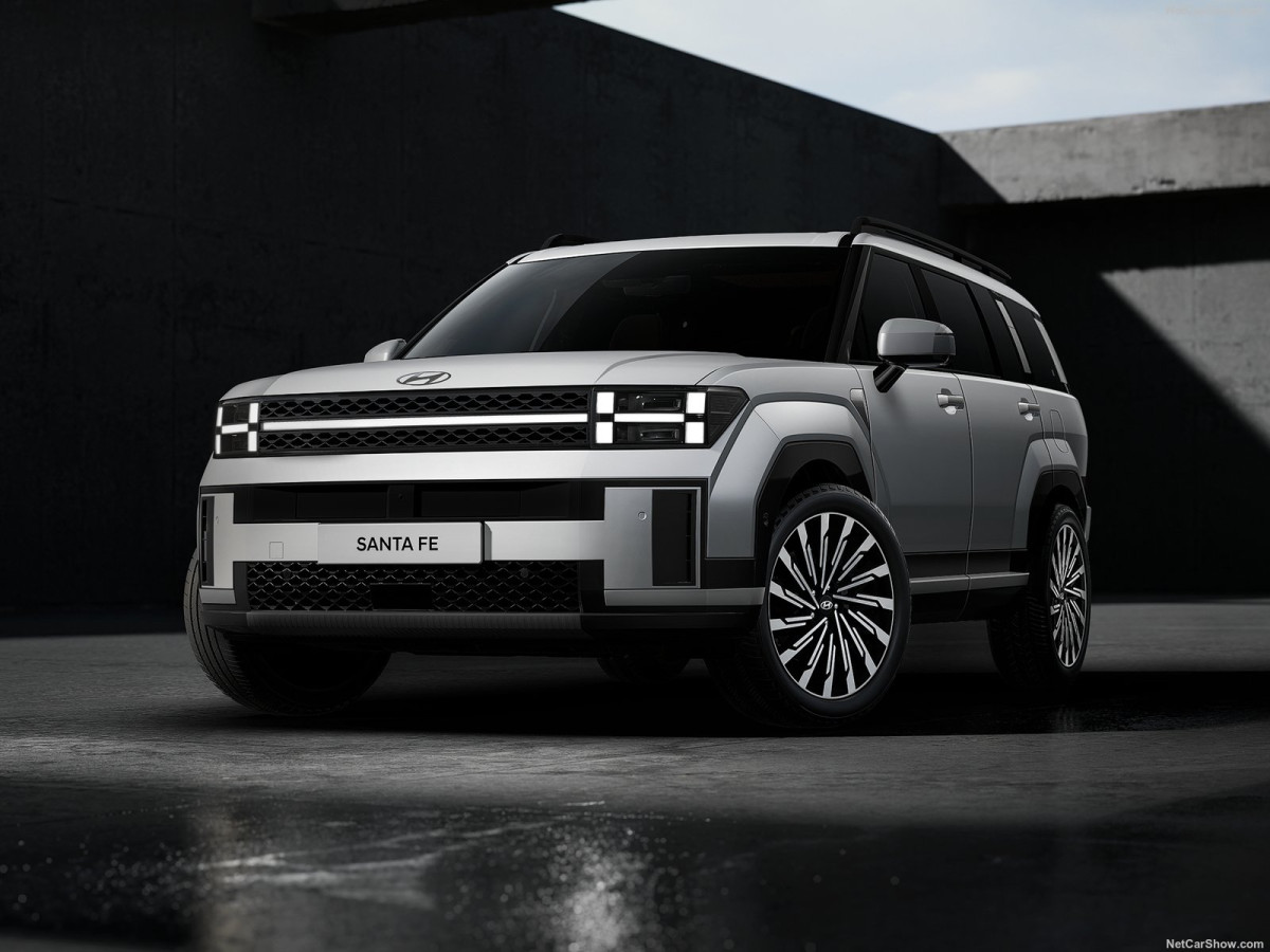 Hyundai Santa Fe  фото 211075