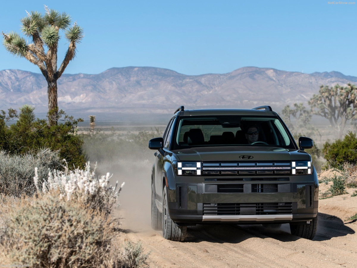 Hyundai Santa Fe  фото 211561