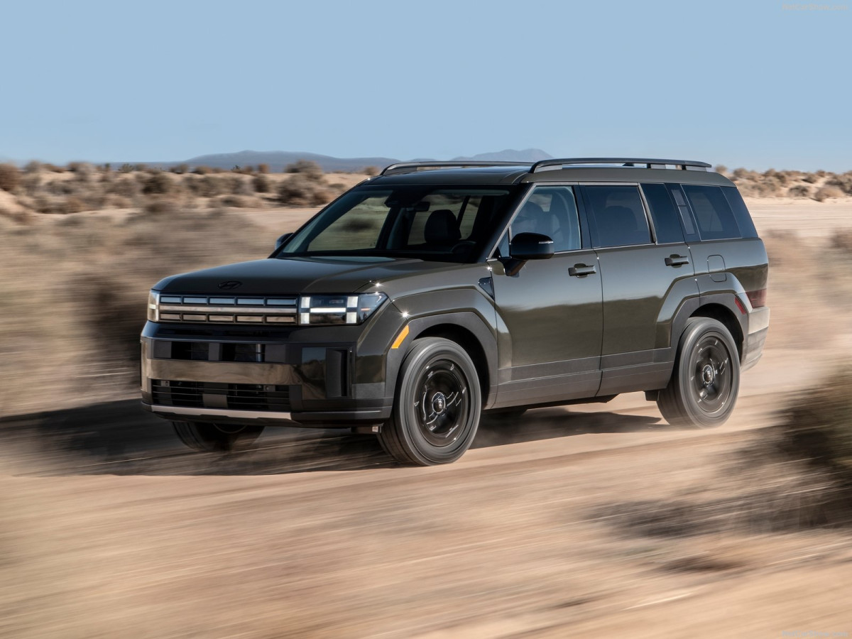 Hyundai Santa Fe  фото 211562