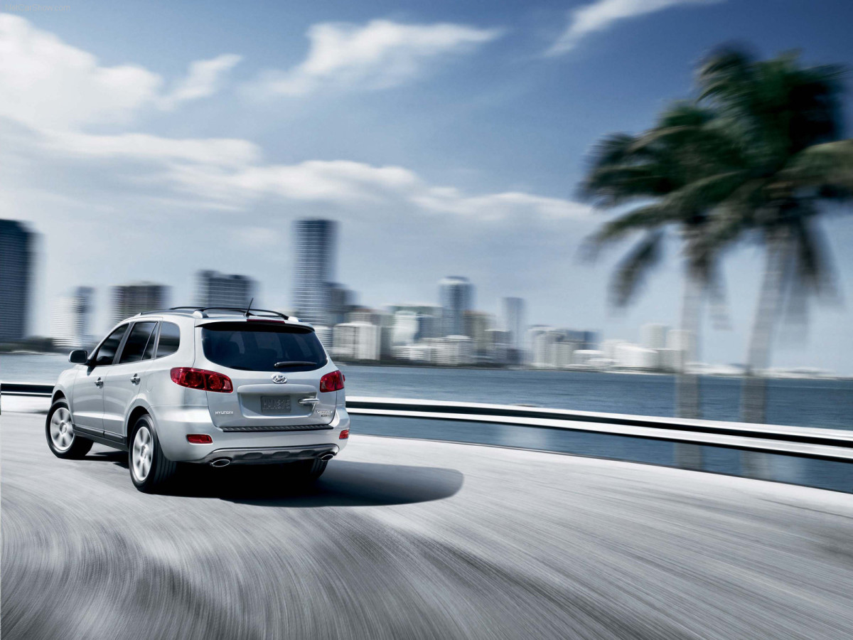 Hyundai Santa Fe  фото 38049