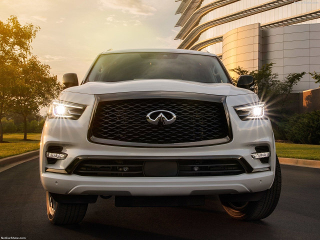 Infiniti QX80 фото