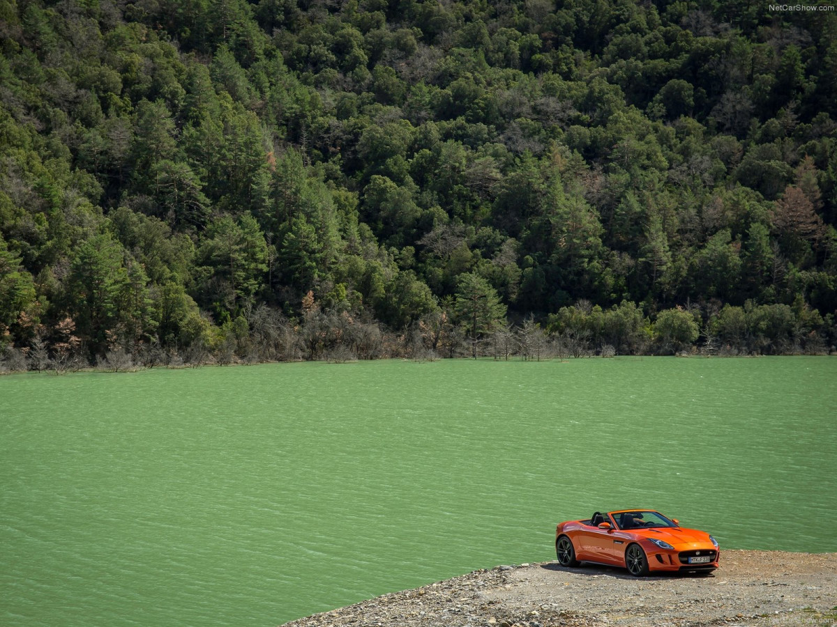 Jaguar F-Type V8 S фото 114919