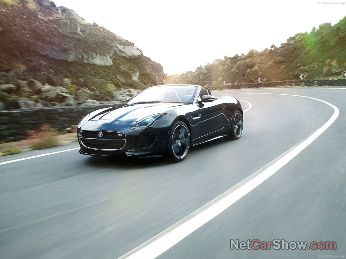 Jaguar F-Type фото 100011