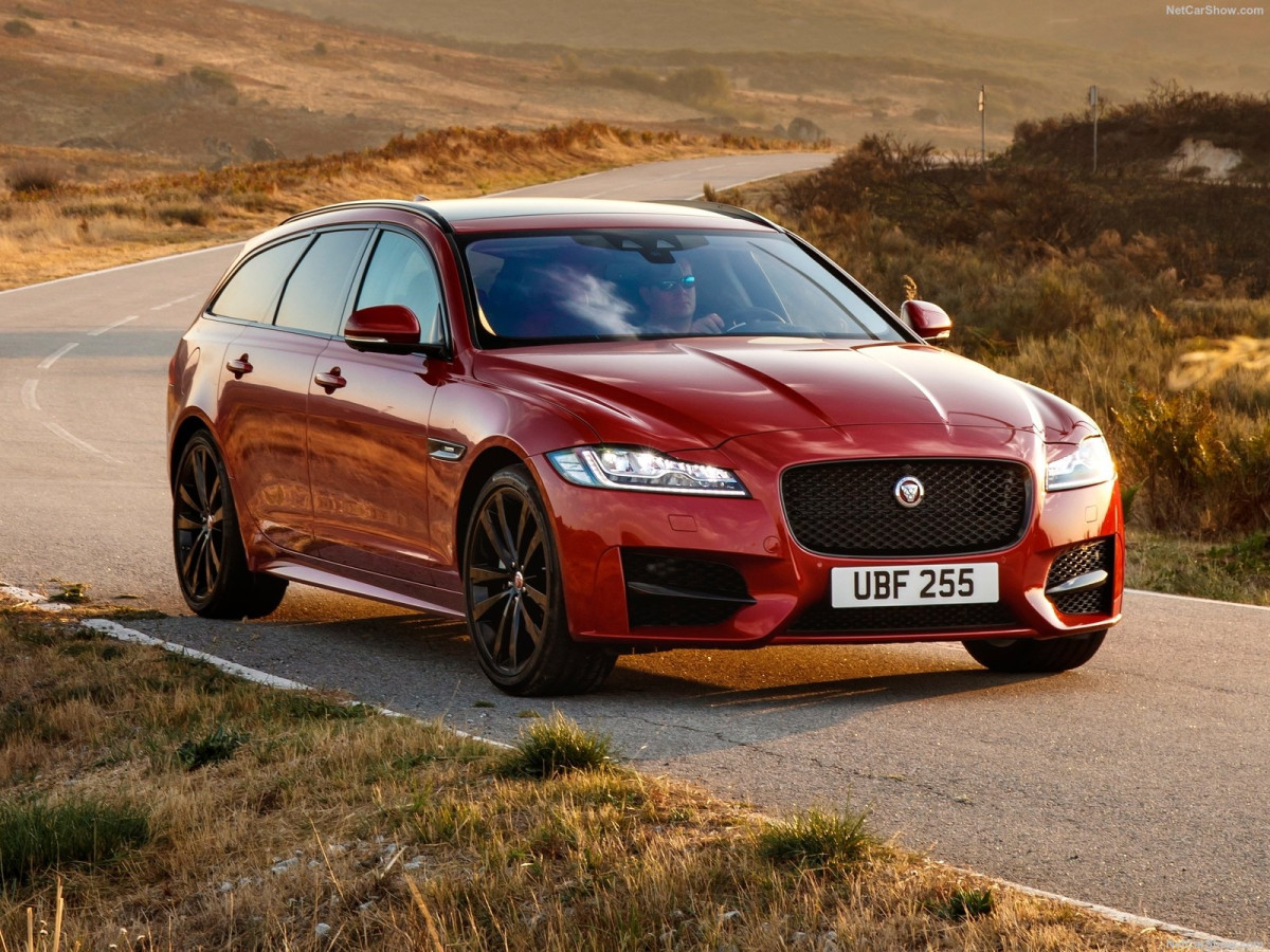 Jaguar XF Sportbrake фото 189372