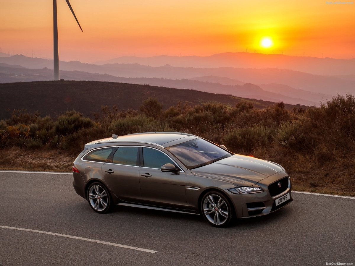 Jaguar XF Sportbrake фото 189373