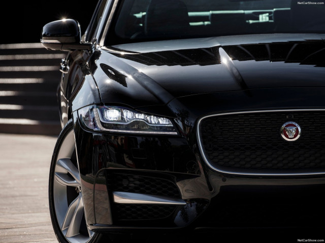 Jaguar XF фото