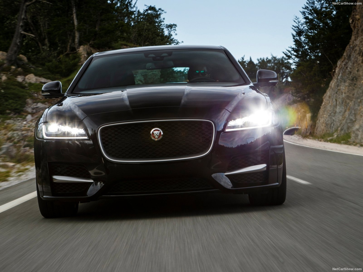 Jaguar XF фото 164962