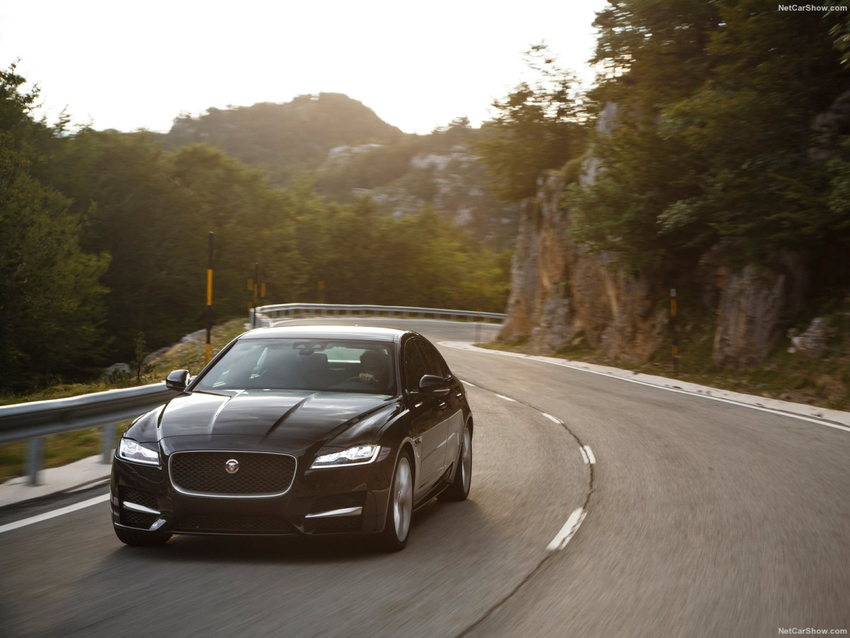 Jaguar XF фото 164986