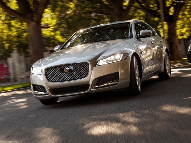 Jaguar XF фото