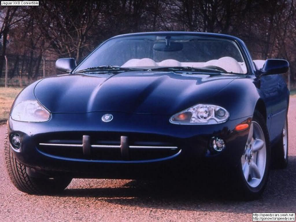 Jaguar XK8 фото 3858