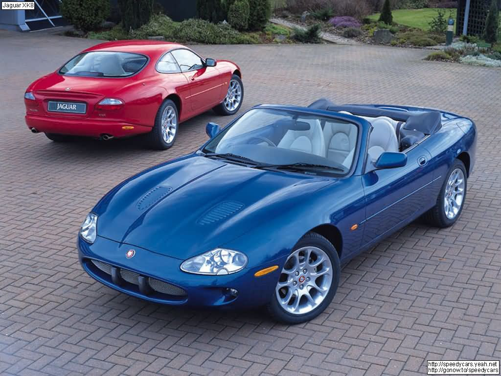 Jaguar XK8 фото 3860