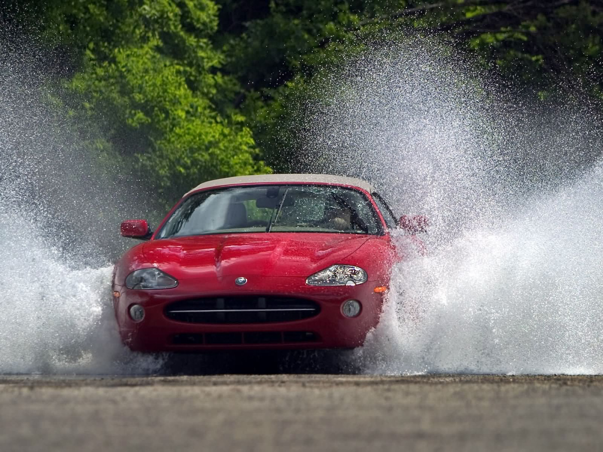 Jaguar XK8 фото 6293