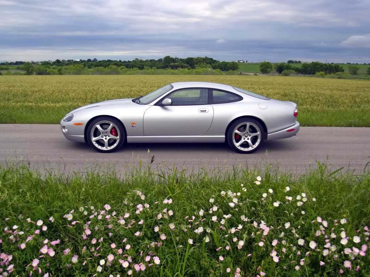 Jaguar XKR фото 6303