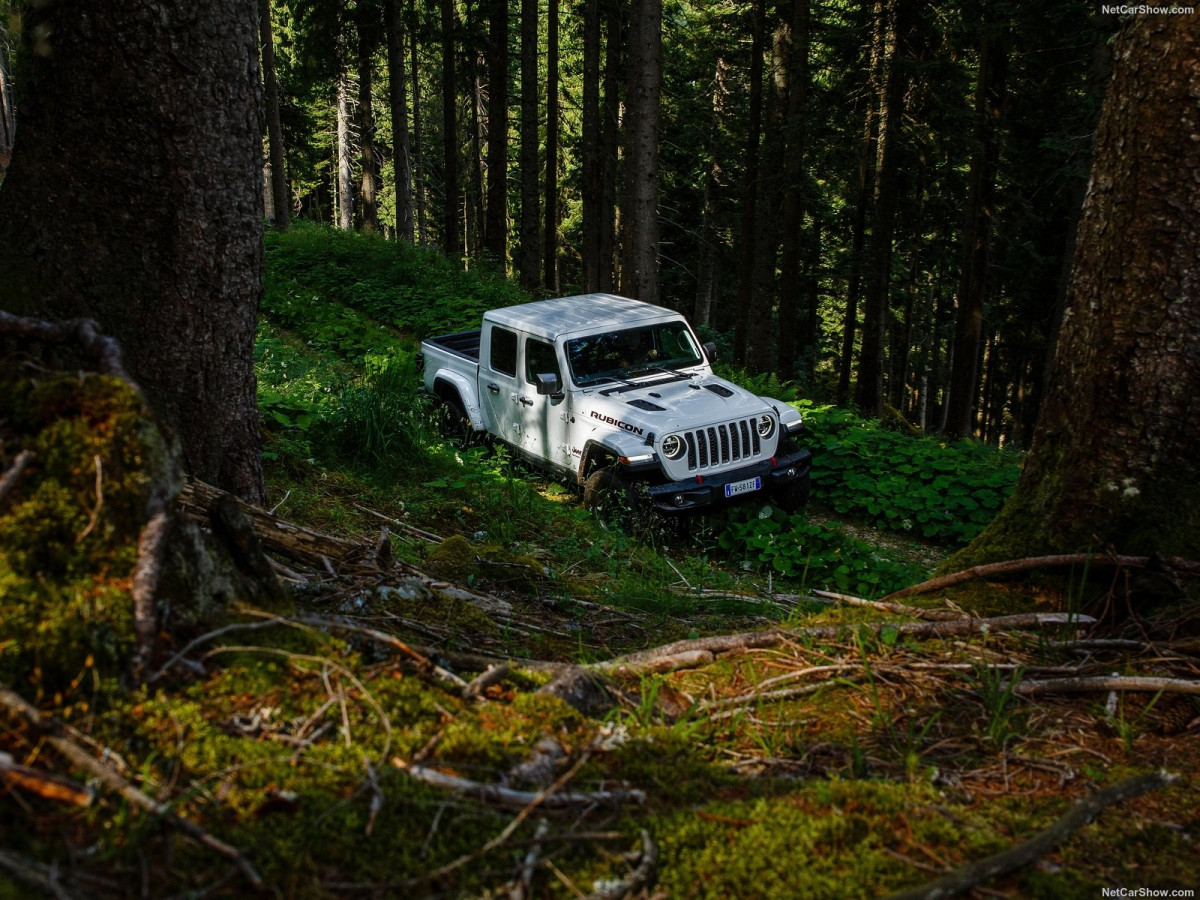 Jeep Gladiator фото 202980