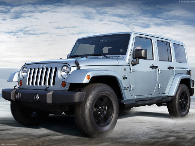 Jeep Wrangler Arctic фото