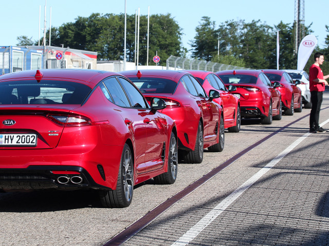 Kia Stinger фото