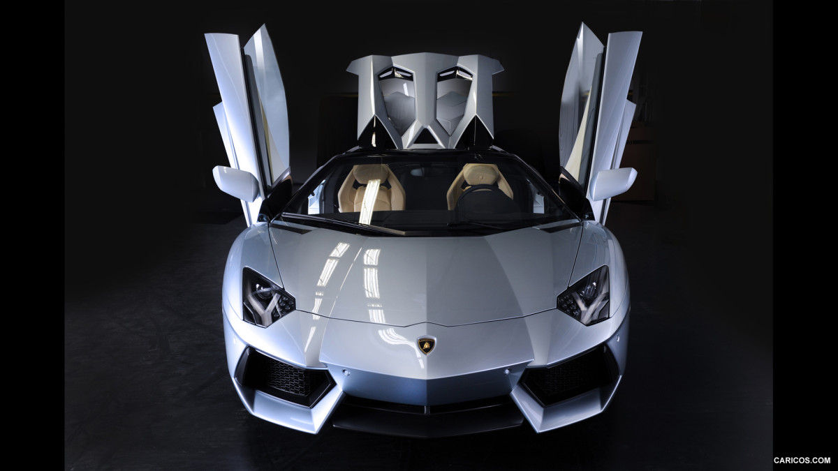 Lamborghini Aventador LP 700-4 Roadster фото 114150