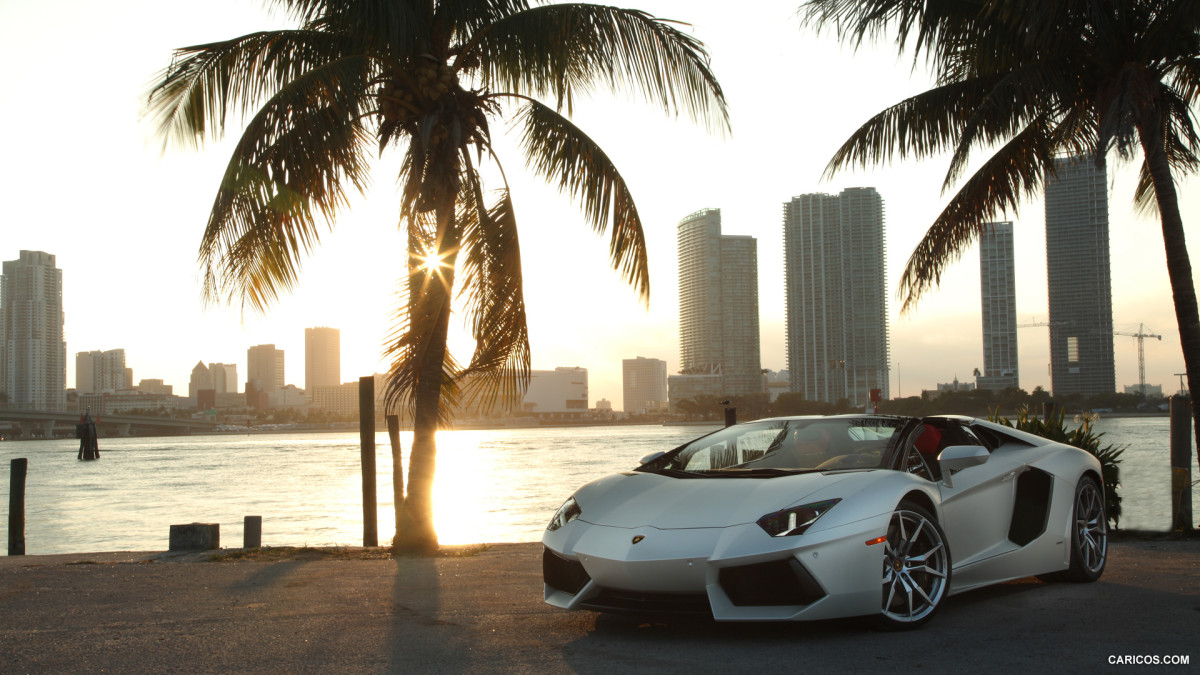 Lamborghini Aventador LP 700-4 Roadster фото 114176