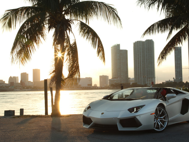 Lamborghini Aventador LP 700-4 Roadster фото