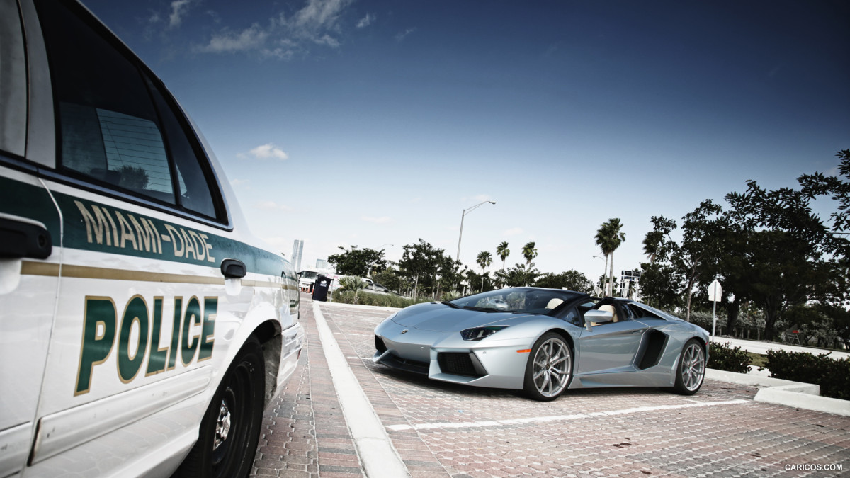 Lamborghini Aventador LP 700-4 Roadster фото 114189