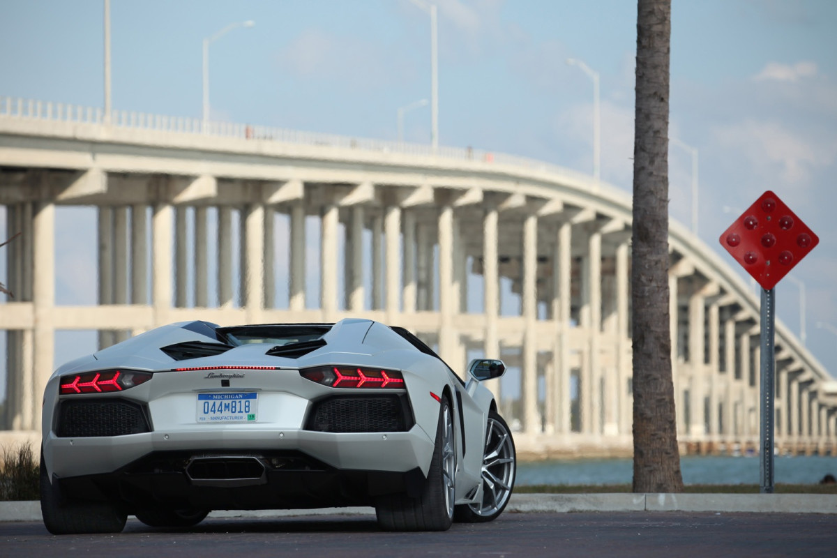 Lamborghini Aventador LP 700-4 Roadster фото 168339