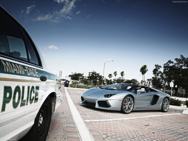 Lamborghini Aventador LP700-4 фото