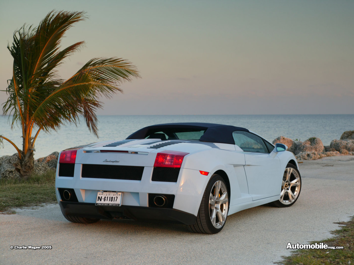 Lamborghini Gallardo Spyder фото 32503