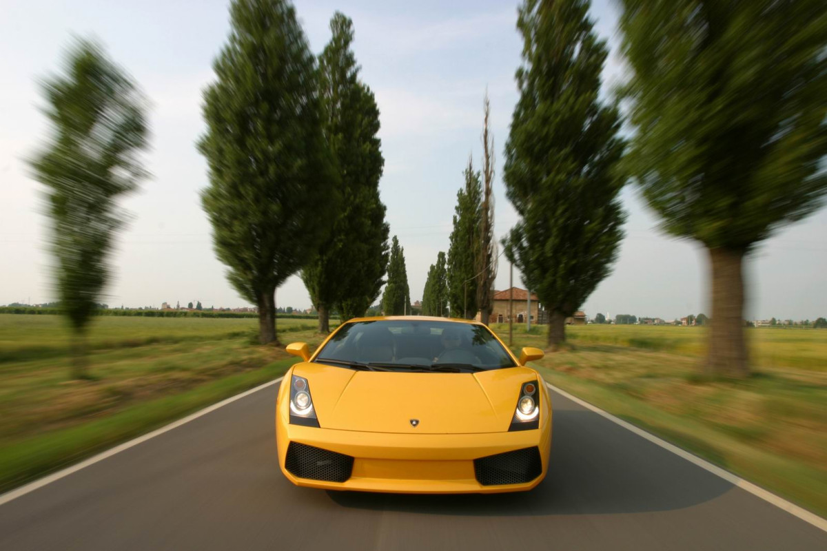 Lamborghini Gallardo фото 13044