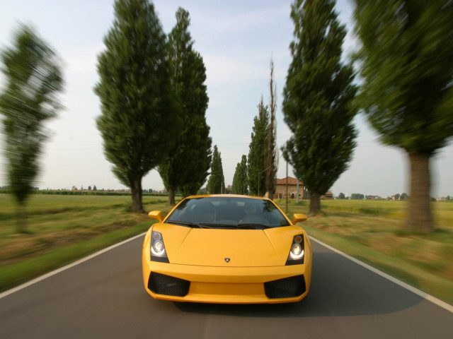 Lamborghini Gallardo фото