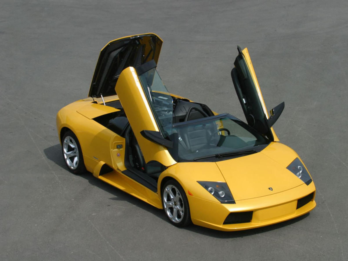 Lamborghini Murcielago Roadster фото 15927