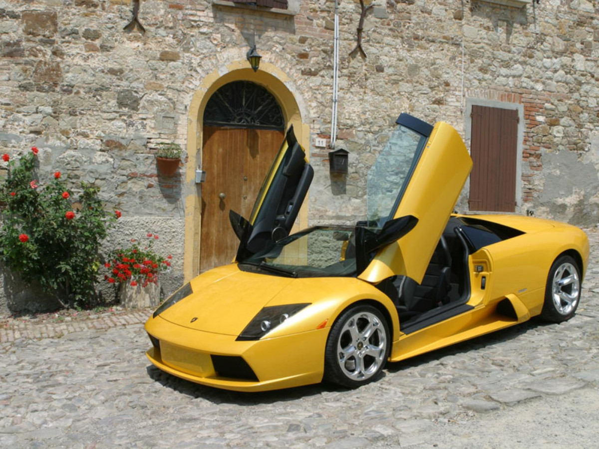 Lamborghini Murcielago Roadster фото 15928