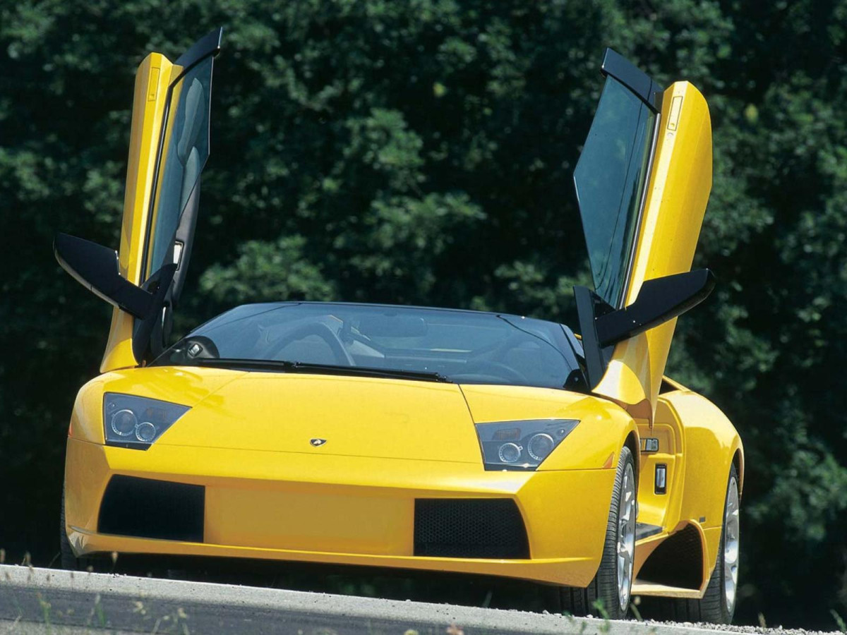 Lamborghini Murcielago Roadster фото 15930