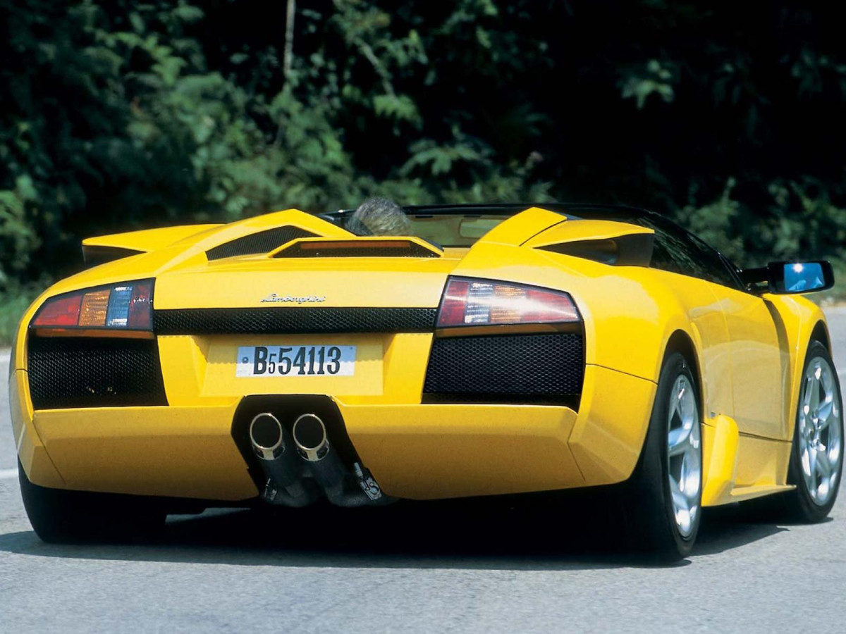 Lamborghini Murcielago Roadster фото 15932