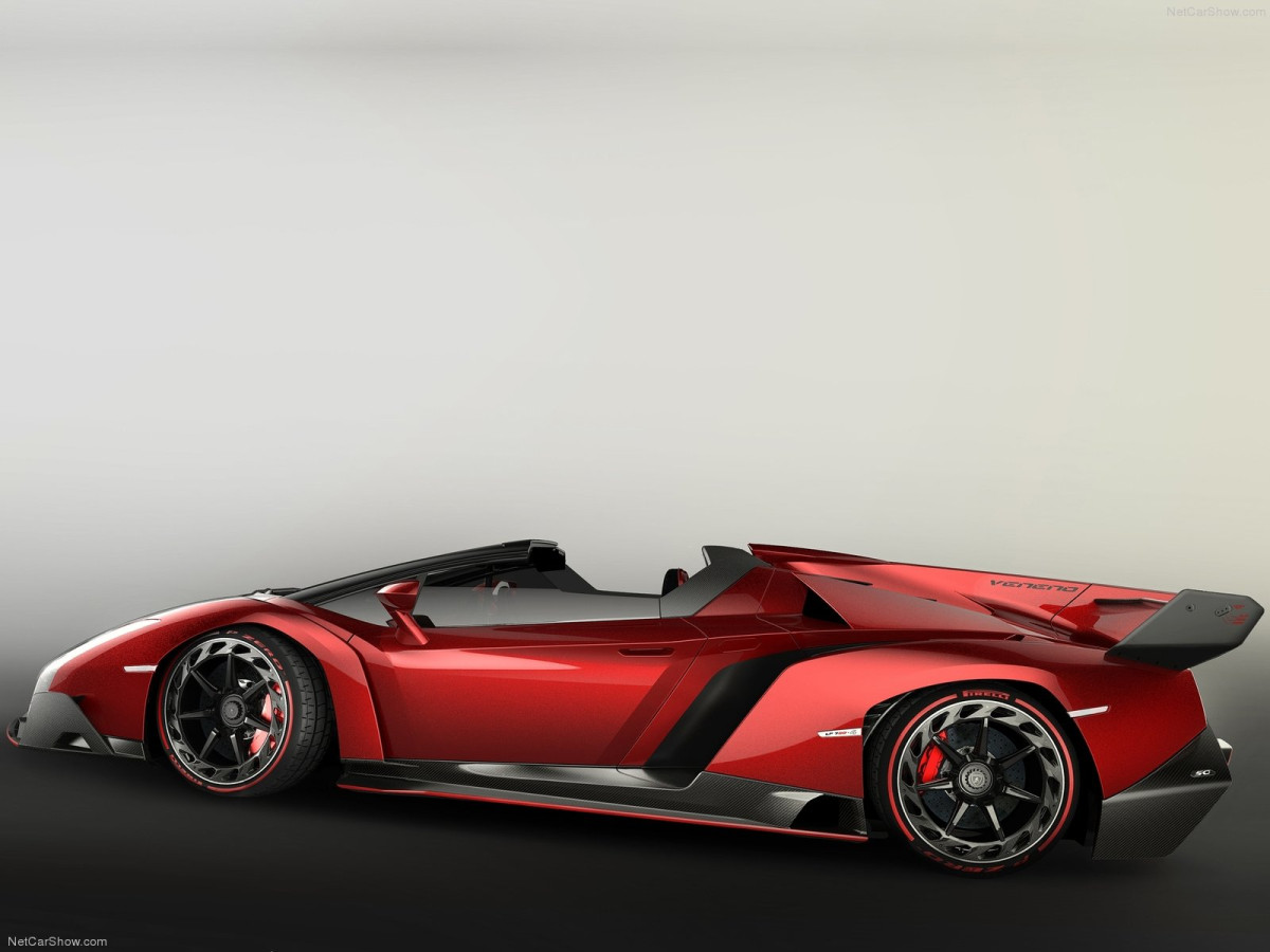 Lamborghini Veneno Roadster фото 111994