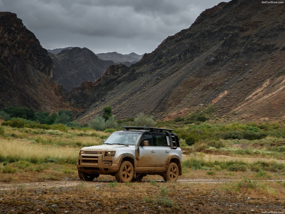 Land Rover Defender 110 фото 203597