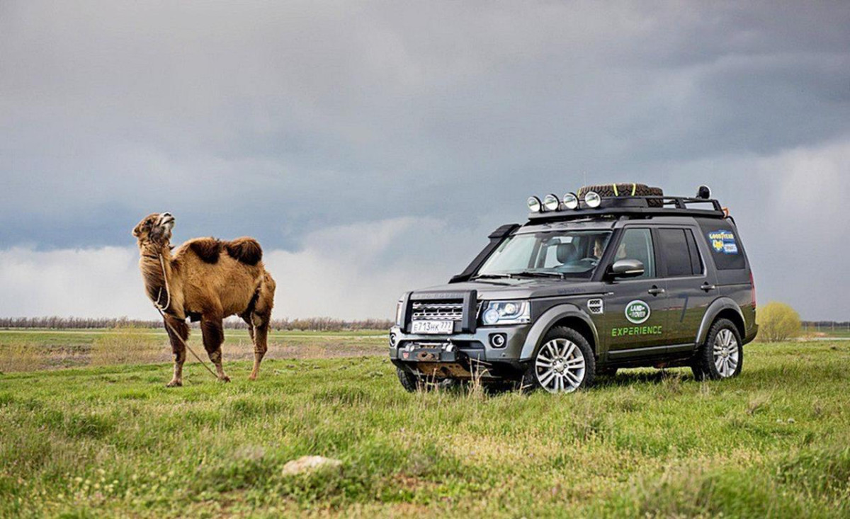 Land Rover Discovery фото 160279