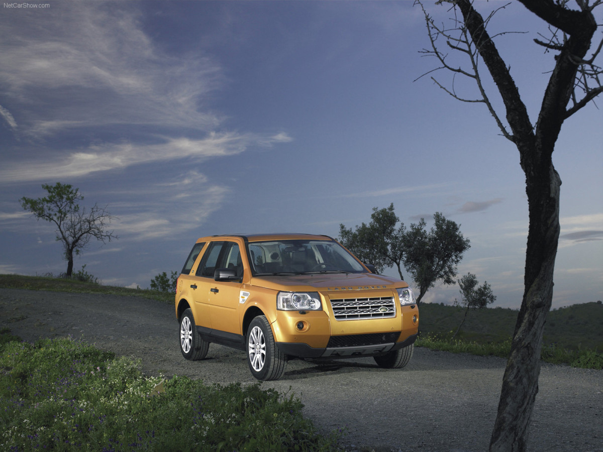 Land Rover Freelander II фото 37222