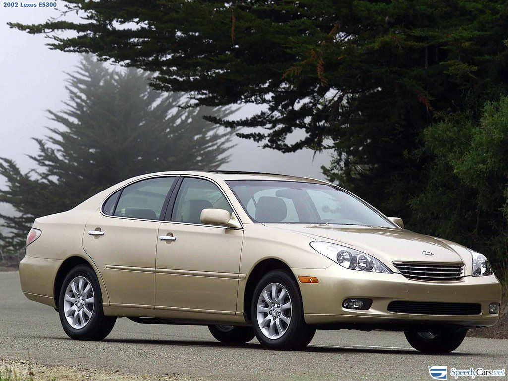 Lexus ES 300 фото 2919