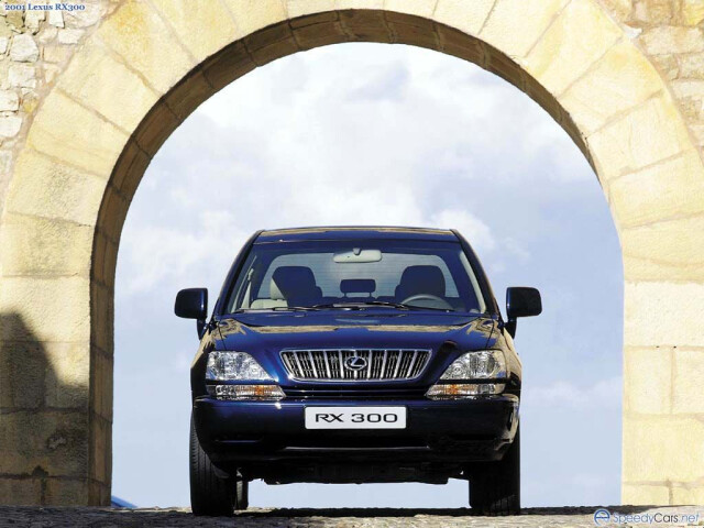 Lexus RX фото 2997