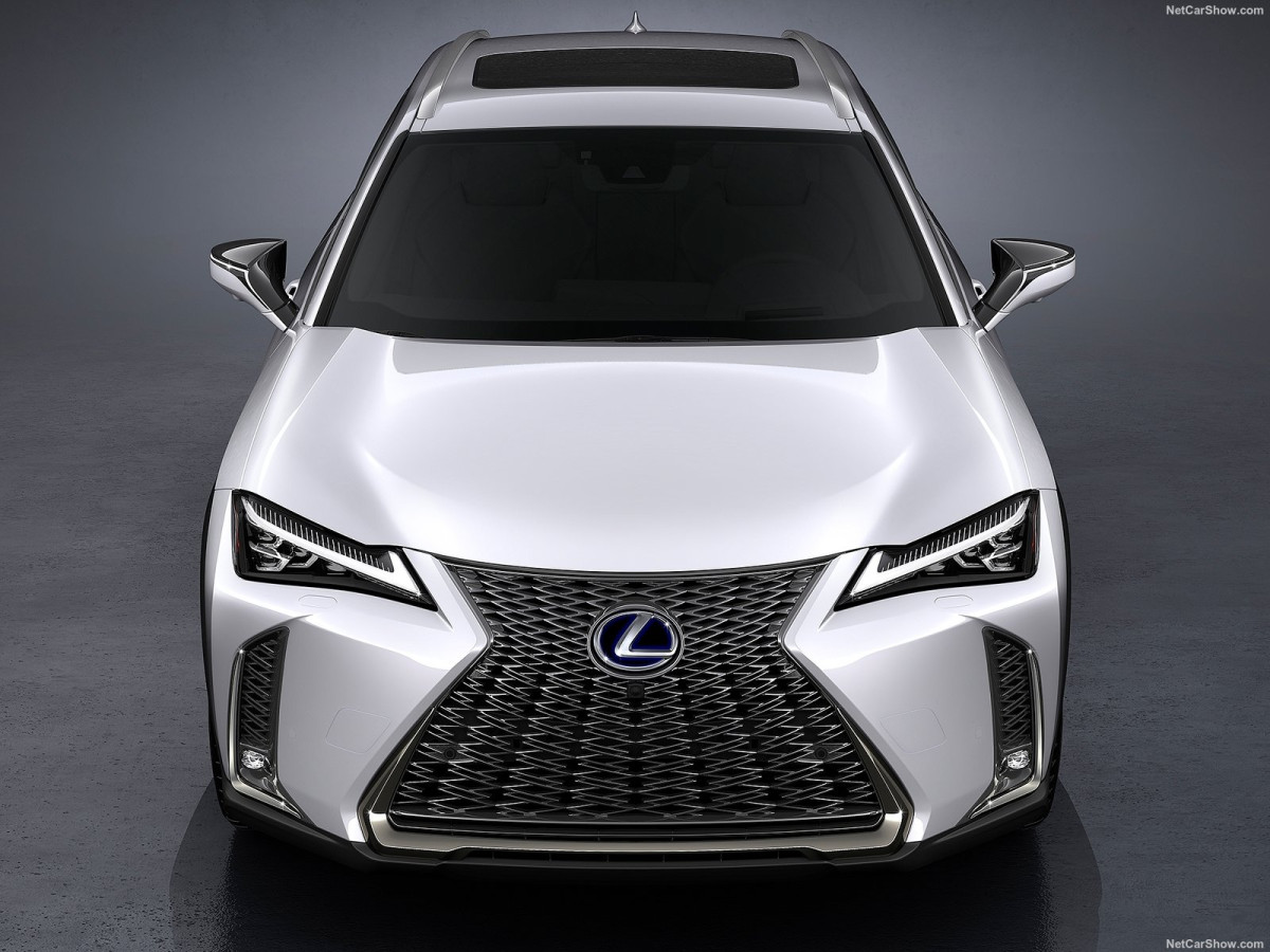 Lexus UX фото 196366