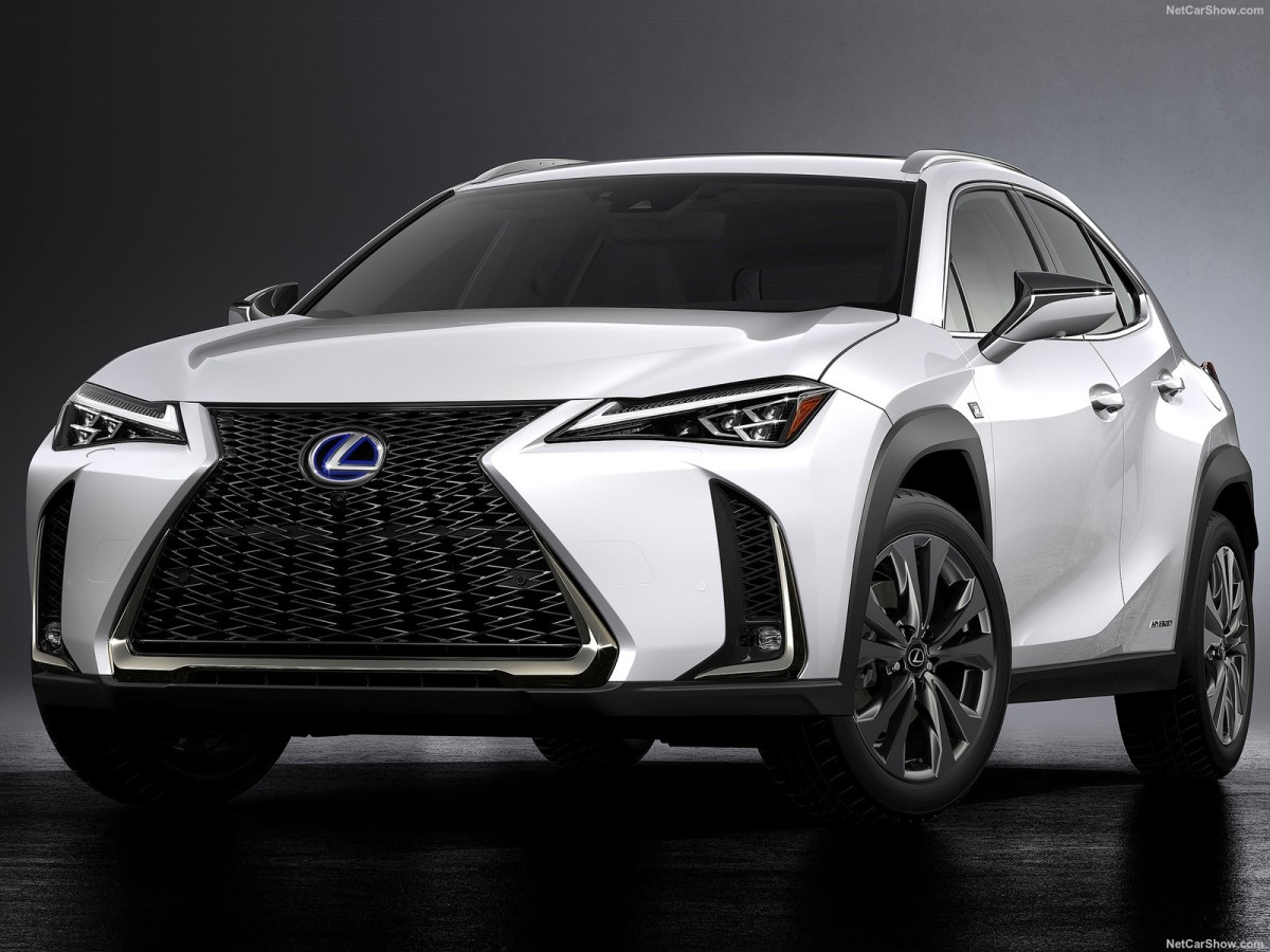 Lexus UX фото 196376