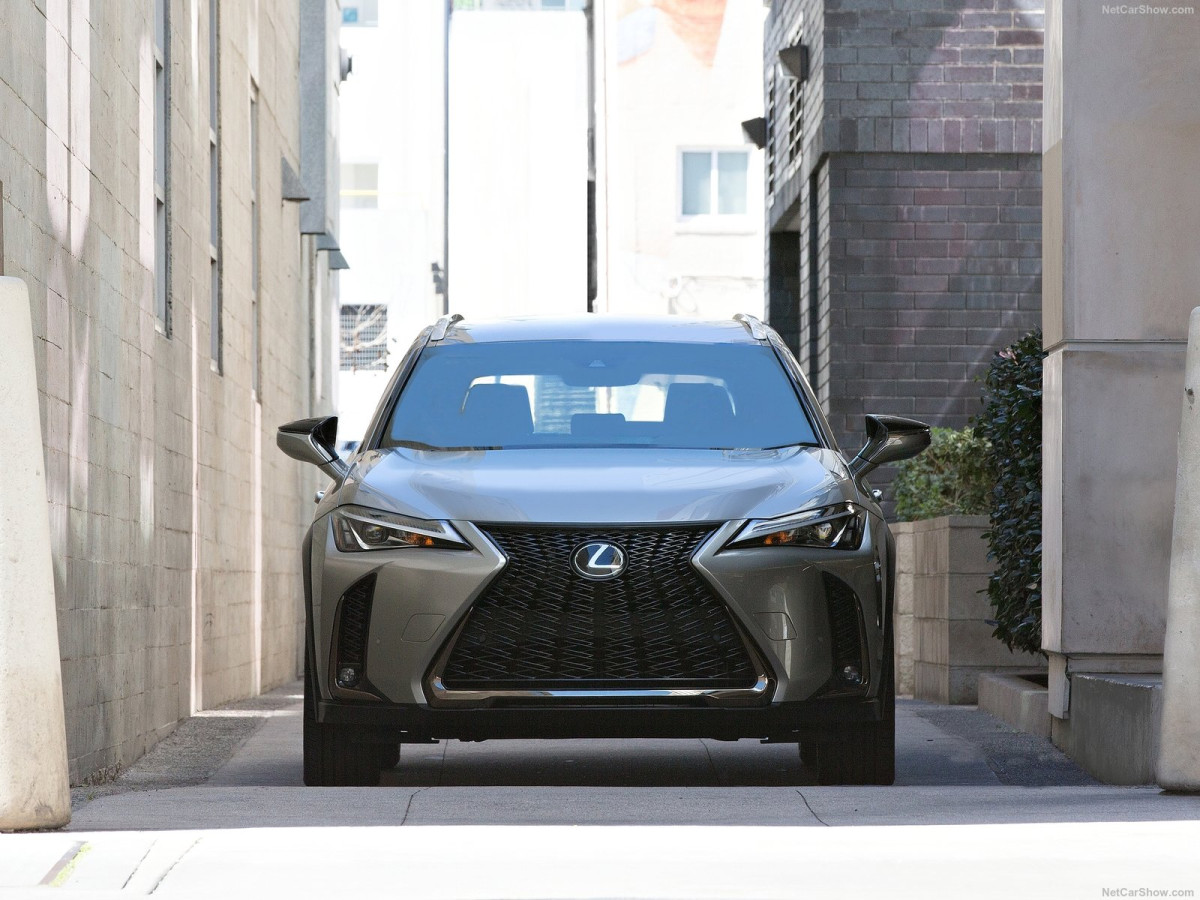 Lexus UX фото 196381