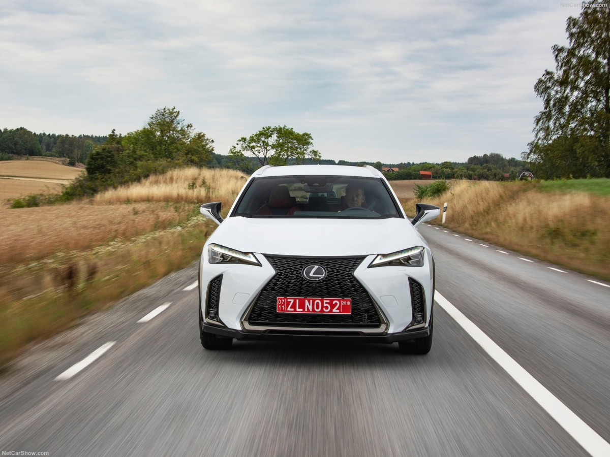 Lexus UX фото 197192