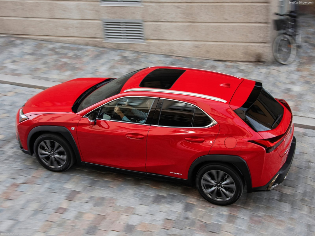 Lexus UX фото 197196