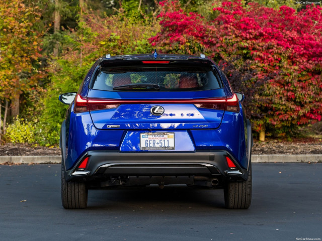 Lexus UX фото