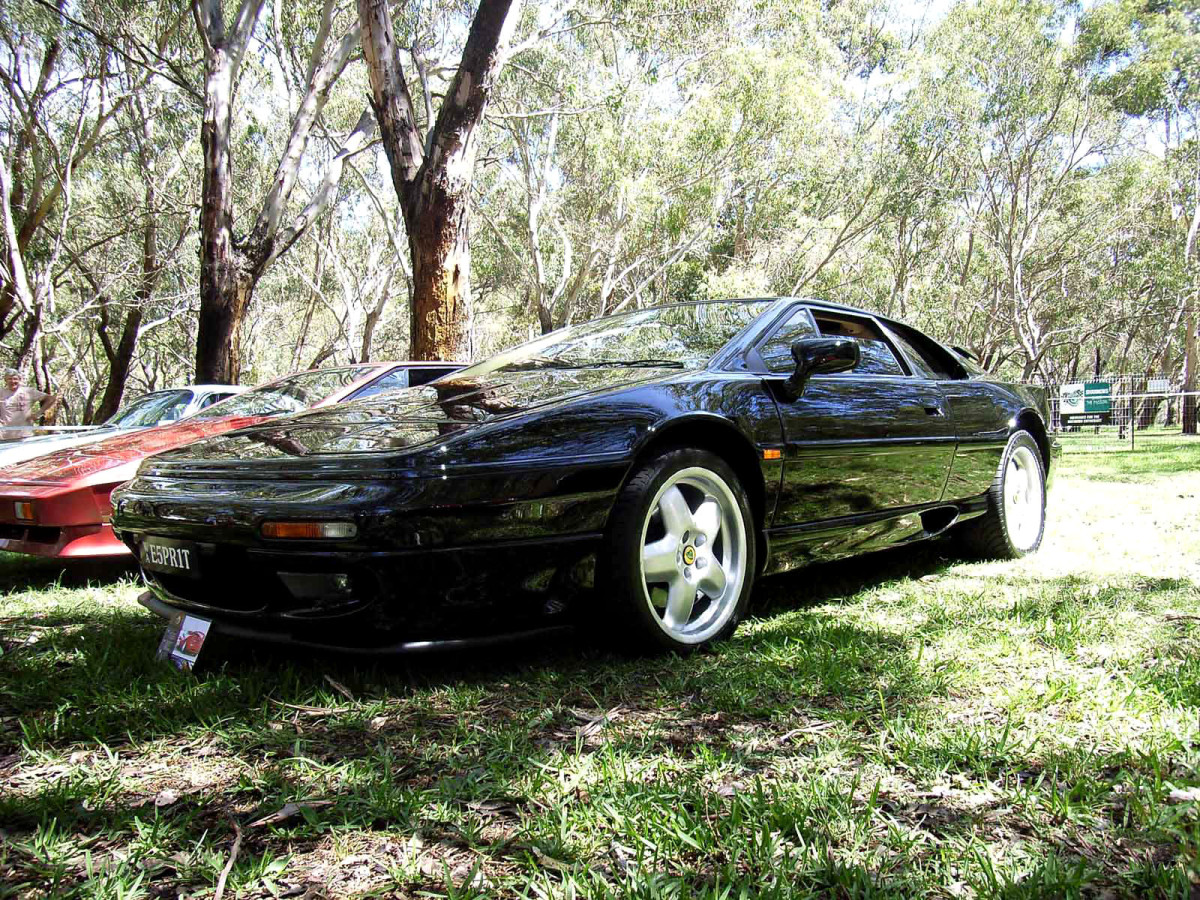 Lotus Esprit фото 37855