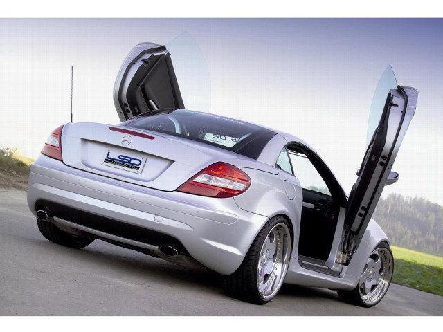 LSD Doors SLK 200 фото